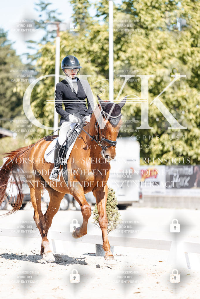CK909543 | Turnierfotografie Pferdefotografie Trier Rheinland-Pfalz Pferdesport Reitsport Tierfotografie Sportfotografie Pferdevideo Pferdevideografie Equestrianvideography equestrianphotography  - Realisiert mit Pictrs.com