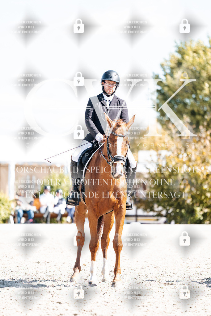 CK903372 | Turnierfotografie Pferdefotografie Trier Rheinland-Pfalz Pferdesport Reitsport Tierfotografie Sportfotografie Pferdevideo Pferdevideografie Equestrianvideography equestrianphotography  - Realisiert mit Pictrs.com