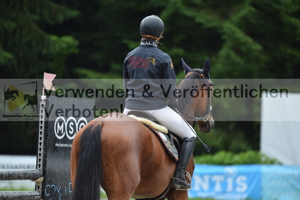 DSC_0038 | equestrian-live-com