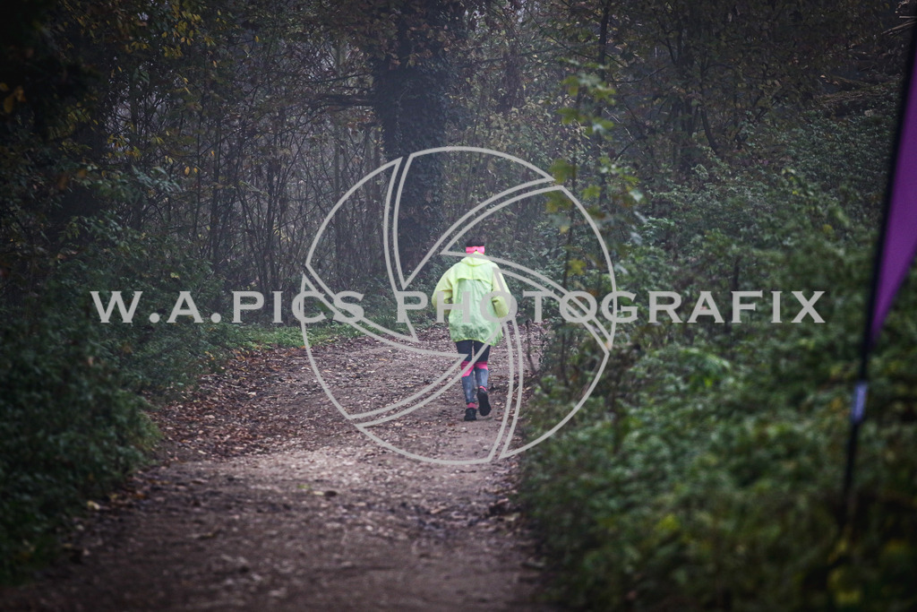 ..... | AUSTRIA, 09.11.24, Leonding,TGW KÜRNBERGTRAILRUN, Image shows: Photo: Wapics / Andreas Willdoner