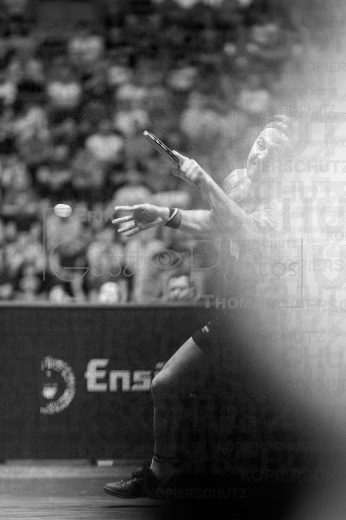 TTBL_Finale-2025-06-15_051 | good-photos - Realisiert mit Pictrs.com