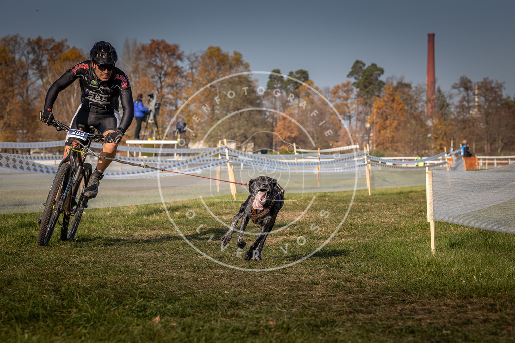 CaniXpix_0L8A7296 | Hundefotografie, Tierfotograf, Pfotenfotografie, Fotoshooting Hund, Hunde Portrait, Hundesport, Hundeportraits, Heideshooting, Hunde, Sportfotograf, Hundefotograf, Turnierhundsport, THS,  - Realisiert mit Pictrs.com