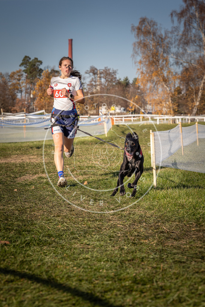 CaniXpix_0L8A8536 | Hundefotografie, Tierfotograf, Pfotenfotografie, Fotoshooting Hund, Hunde Portrait, Hundesport, Hundeportraits, Heideshooting, Hunde, Sportfotograf, Hundefotograf, Turnierhundsport, THS,  - Realisiert mit Pictrs.com