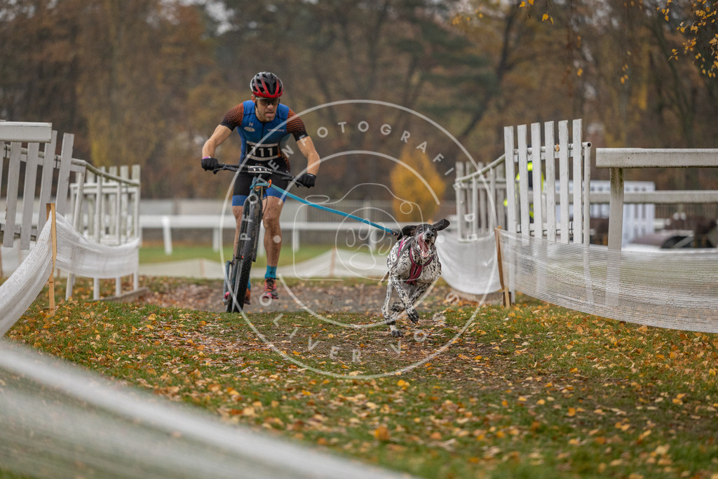 CaniXpix_DV3A7515 | Hundefotografie, Tierfotograf, Pfotenfotografie, Fotoshooting Hund, Hunde Portrait, Hundesport, Hundeportraits, Heideshooting, Hunde, Sportfotograf, Hundefotograf, Turnierhundsport, THS,  - Realisiert mit Pictrs.com