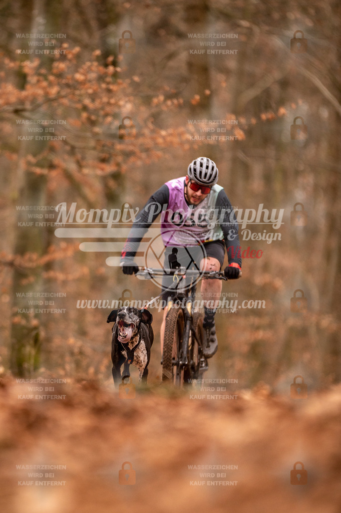 AKM_ST_2023_Son_Bike-12 | PayLife