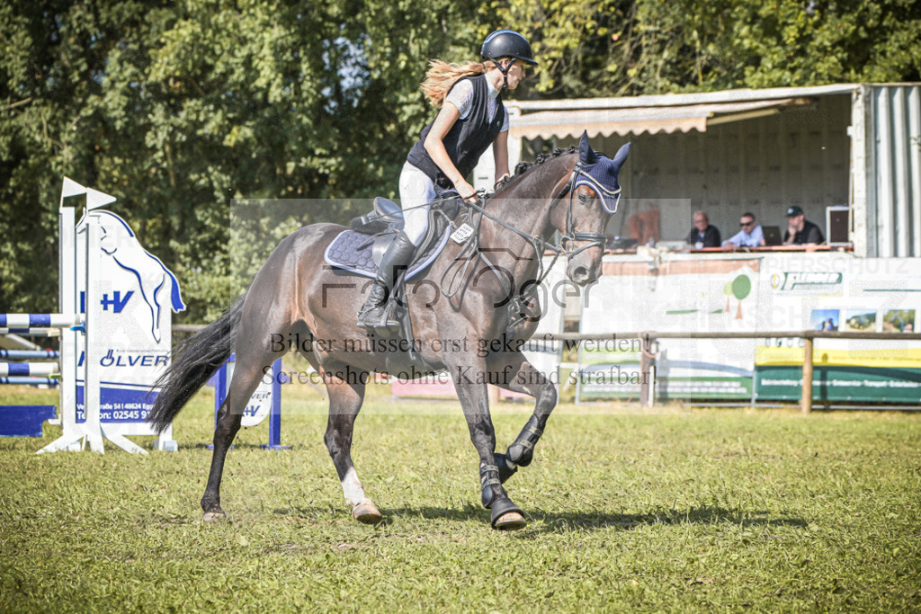 DOS_0327 | Entdecke hochwertige Reitturnierfotos von Foto Oger. Professionell, emotional und authentisch – jetzt Lieblingsmomente im Shop bestellen.Deutschlandweite Turnierfotografie. - Realisiert mit Pictrs.com