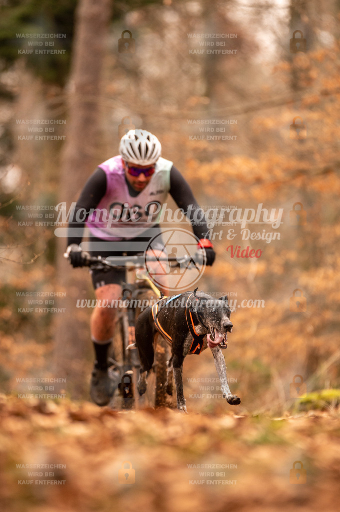 AKM_ST_2023_SAM_Bike-25 | PayLife
