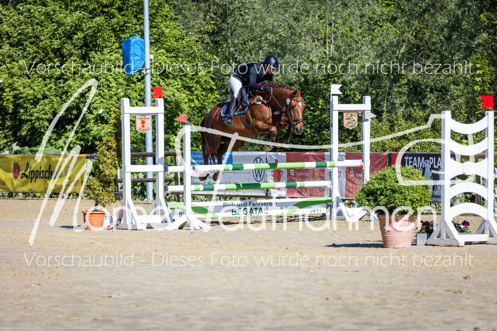 Donop24-A2Spr-006 | MomenTaufnahmen Pferdesportfotos