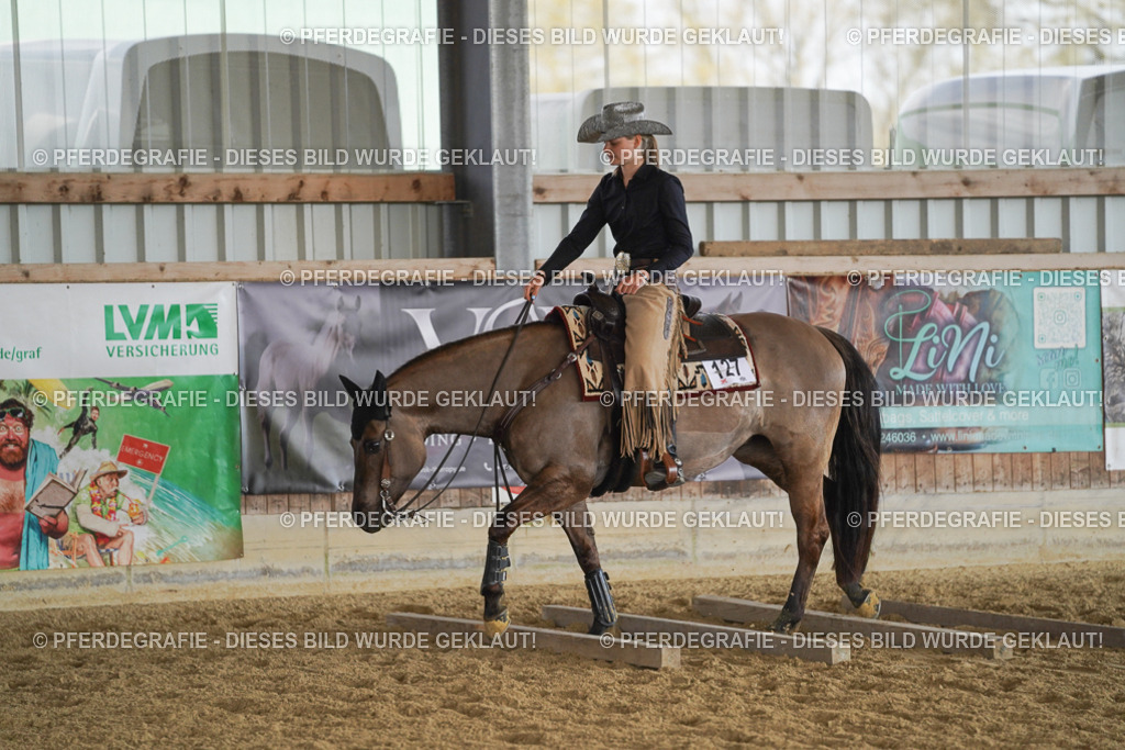 DSC00356 | Pferdegrafie