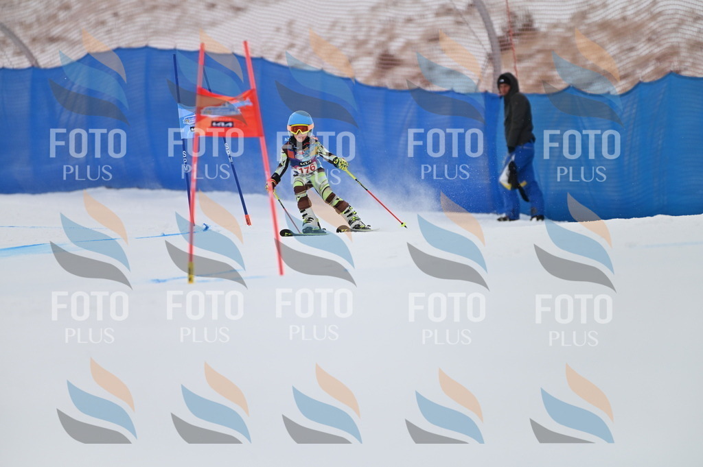 BGV_0864 | holidayphoto