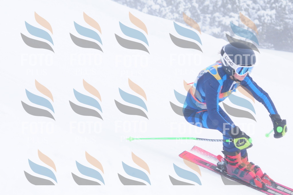 C3616 | holidayphoto