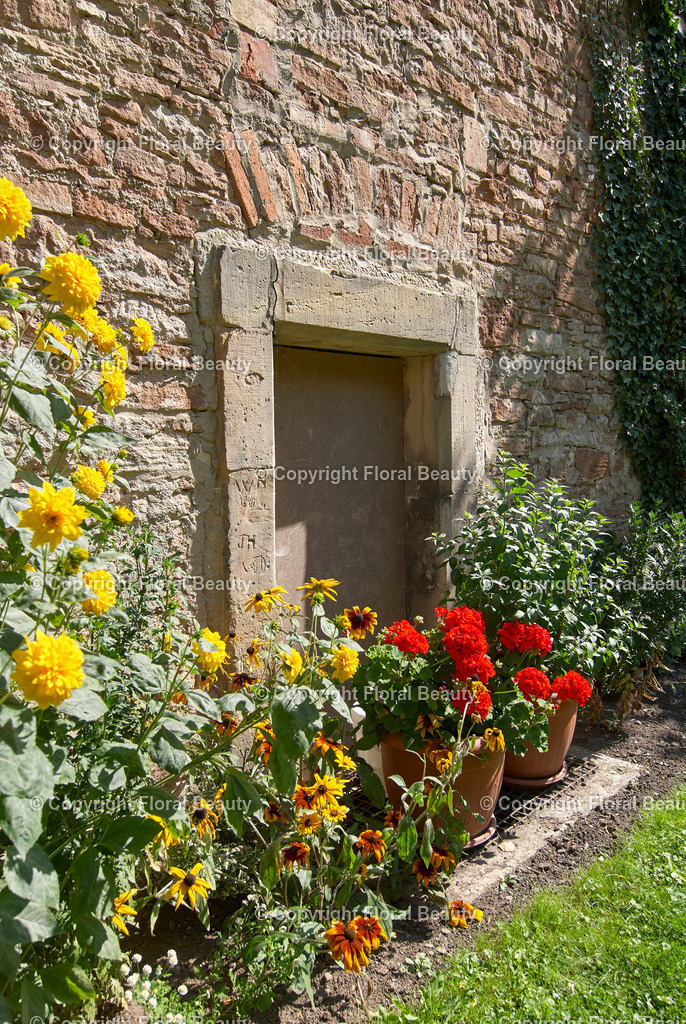 Alte Mauer | Blumen vor alter Mauer - Realisiert mit Pictrs.com