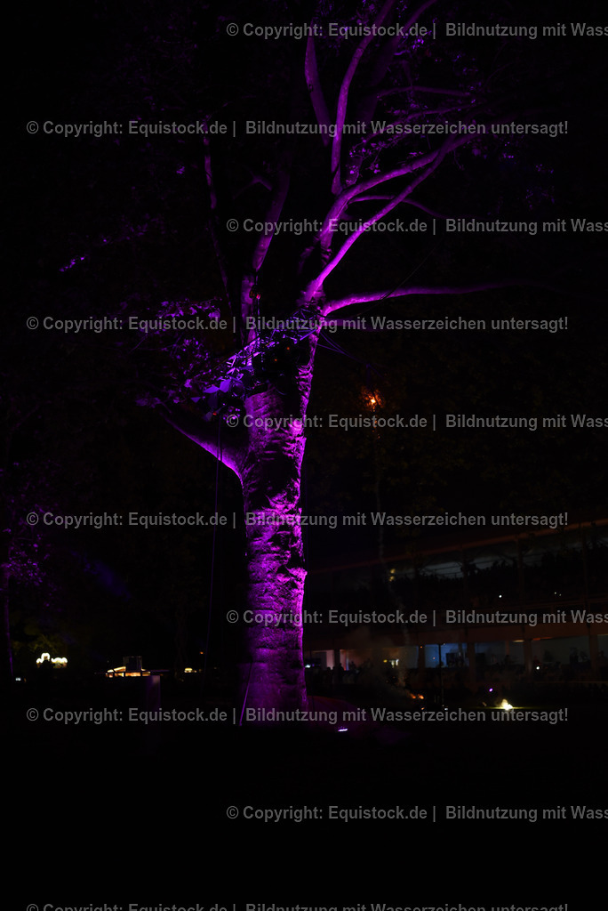 20230526_Pferdenacht_1595 | equistock