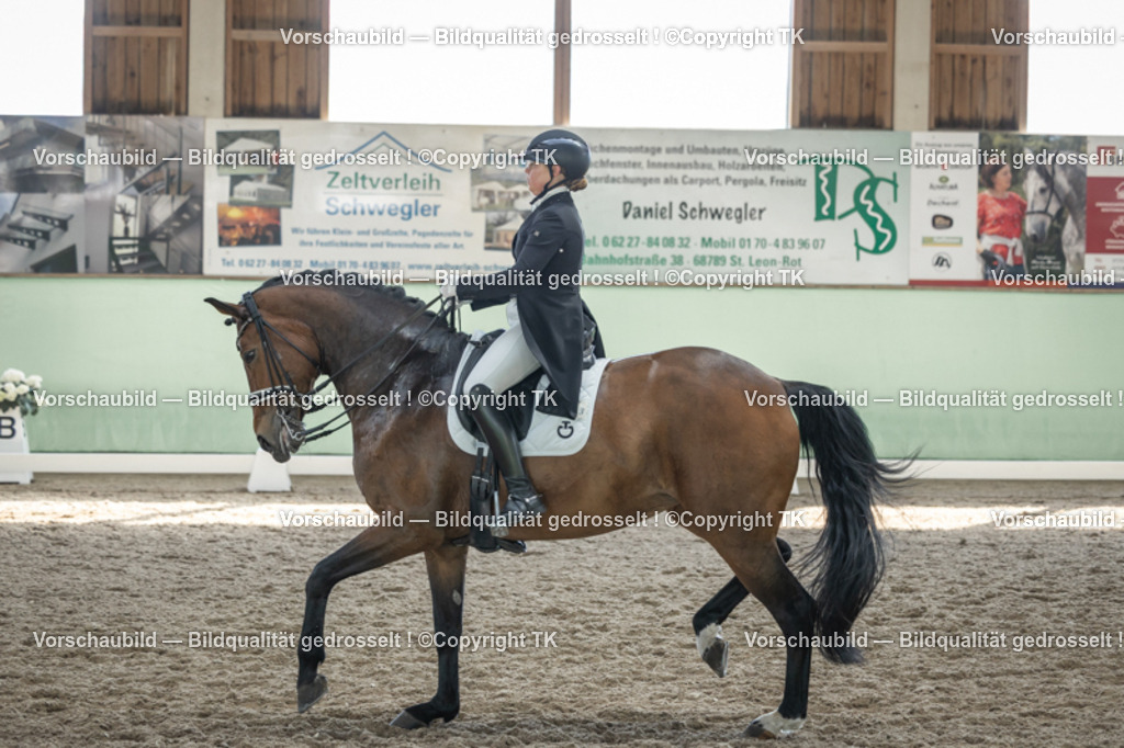 _D5A9976 | Emotionale Pferde- & People-Fotografie rund um Heidelberg, Leimen & Umgebung. Natürliche Fotos von Pferd, Mensch & Familie. Jetzt Termin sichern!