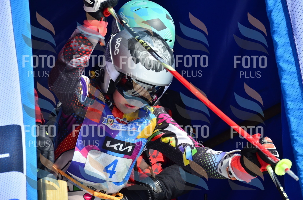 _ELE9716 | holidayphoto