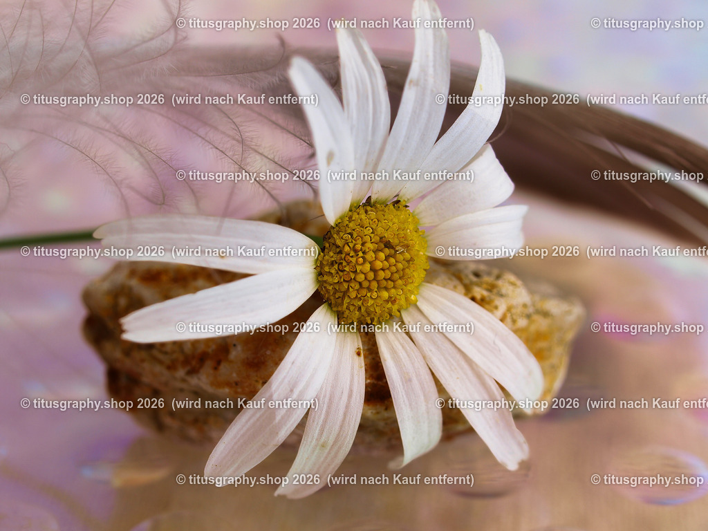 titusgraphy_P9308870-vz-ln | titusgraphy-shop: Geschenkideen mit Qualitätsfotos. titusgraphy-shop: gift ideas with quality photos. titusgraphy-shop: idées cadeaux avec photos de qualité.  - Realisiert mit Pictrs.com