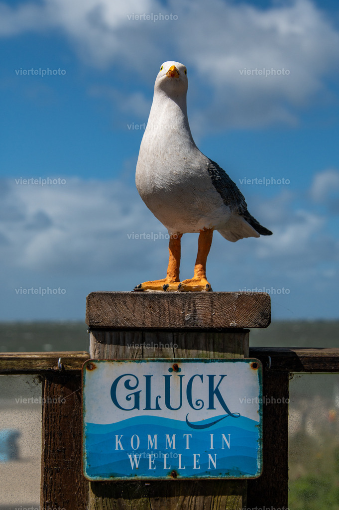 Glück | viertelphoto - Realisiert mit Pictrs.com