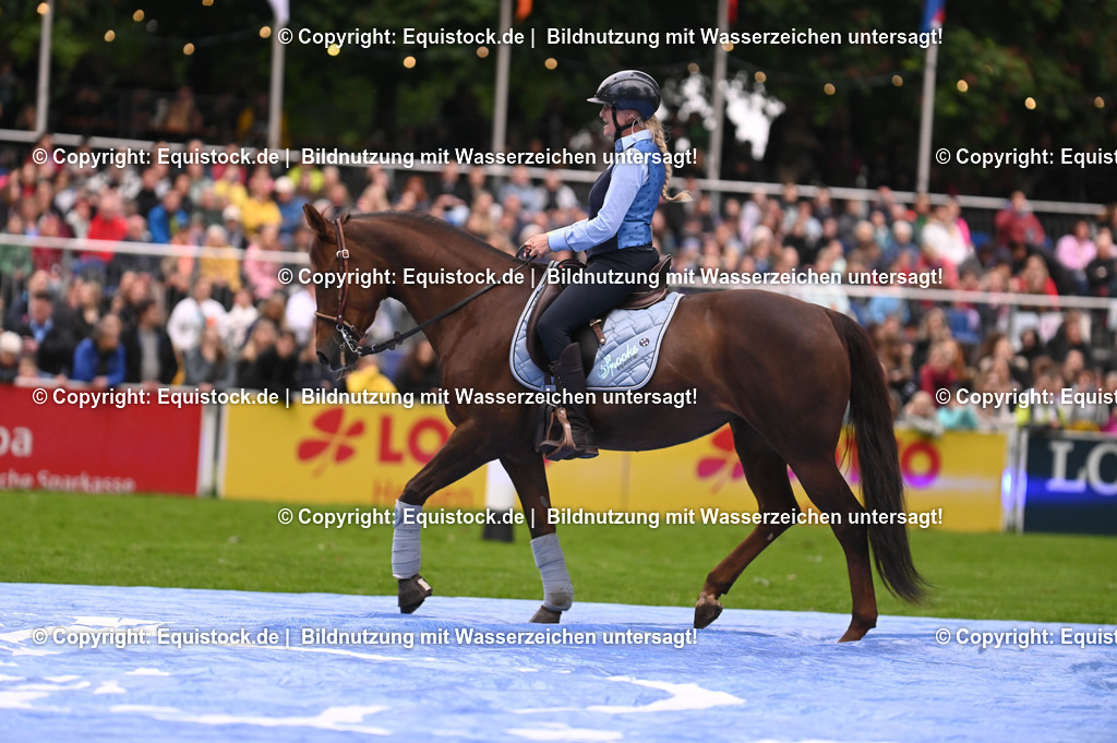 20240517_Lange-Pferdenacht_0255 | Foto: Thomas Hartig