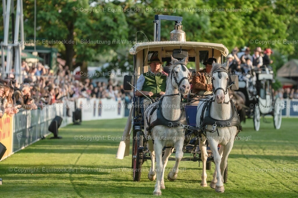 20230526_Pferdenacht_0130 | equistock