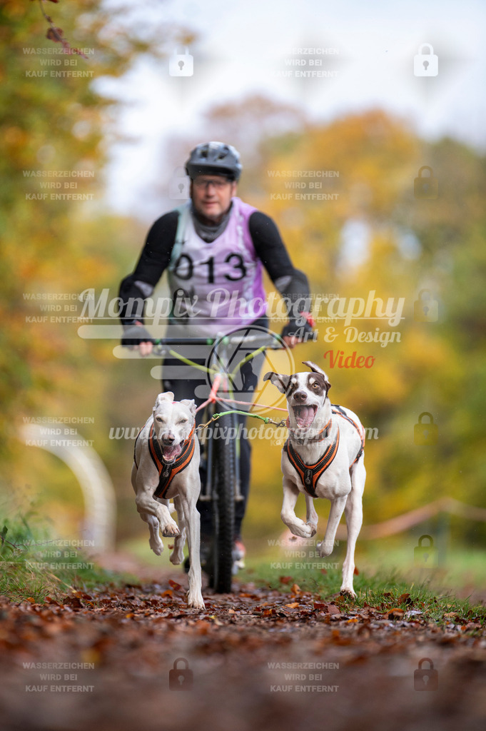 DBT_DAKM_SA_4_11_2023_DS2-41 | PayLife