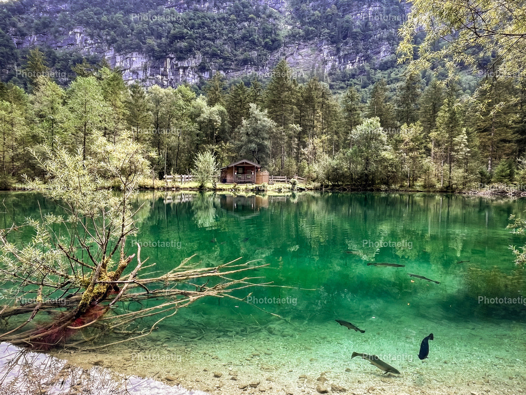 IMG_3580 | phototaetig