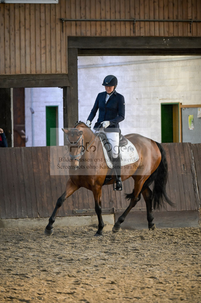 Reitturnier Voxtrup | Entdecke hochwertige Reitturnierfotos von Foto Oger. Professionell, emotional und authentisch – jetzt Lieblingsmomente im Shop bestellen.Deutschlandweite Turnierfotografie. - Realisiert mit Pictrs.com