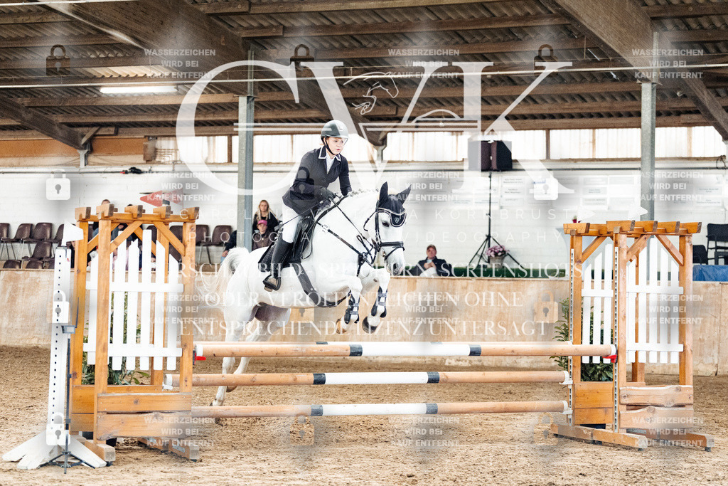 CK904602 | Turnierfotografie Pferdefotografie Trier Rheinland-Pfalz Pferdesport Reitsport Tierfotografie Sportfotografie Pferdevideo Pferdevideografie Equestrianvideography equestrianphotography  - Realized with Pictrs.com