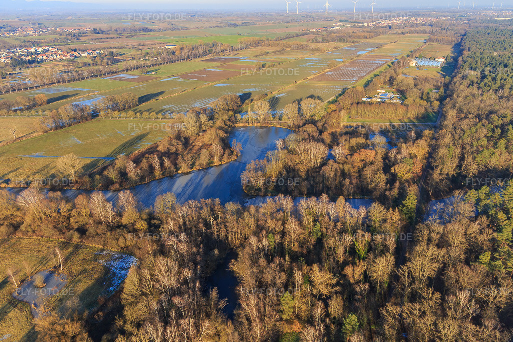 Luftbild: Gefrorene Fischweiher am Bienwaldrand in Steinfeld im Bundesland Rheinland-Pfalz in Deutschland. Foto: IMG_145280.jpg vom 14.01.2025 durch Werner Riehm/FLY-FOTO.de