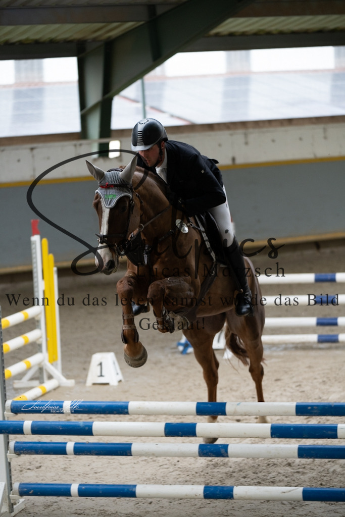 A7V01314 | Pferdefotograf