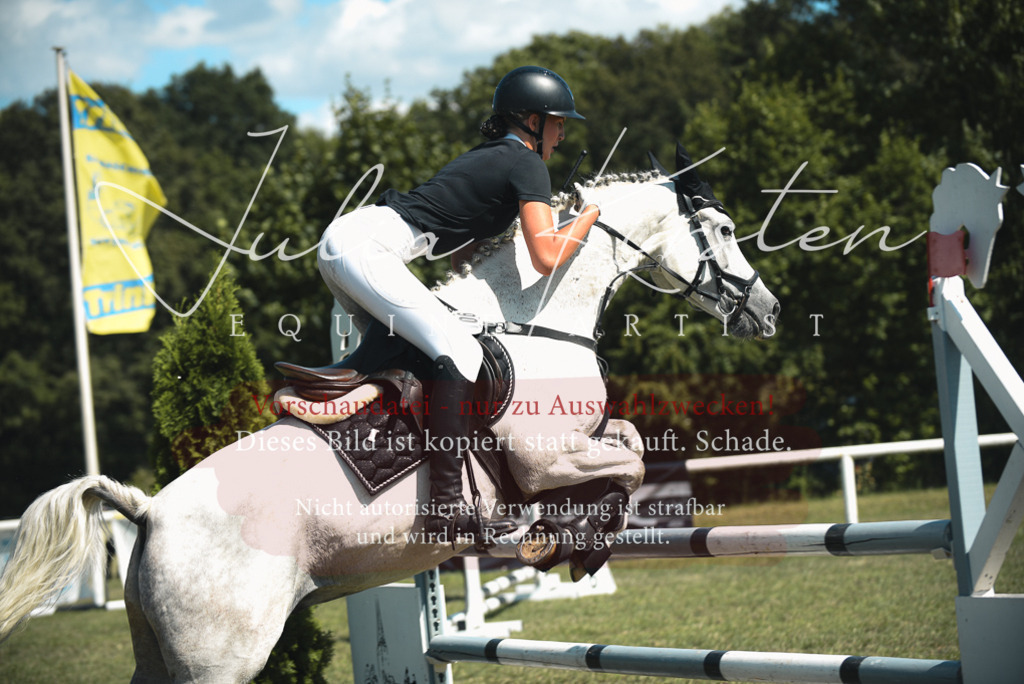 DSC_6892 | Pferde- und Turnierfotografie in Westsachsen. Pferdeportraits, Auftragszeichnungen und intuitive Kunst.