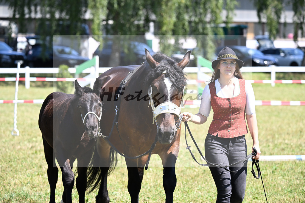 Kat-Nr. 11 SF v. Ruescherl x Retter_Bauer_22250244 | hf-fotografie - Realizzato con Pictrs.com
