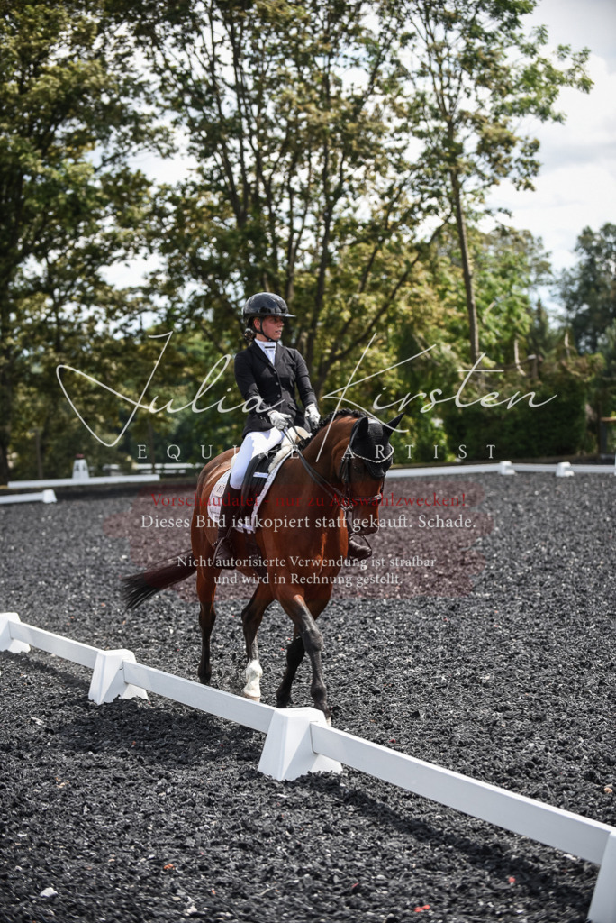 DSC_4764 | Pferde- und Turnierfotografie in Westsachsen. Pferdeportraits, Auftragszeichnungen und intuitive Kunst.
