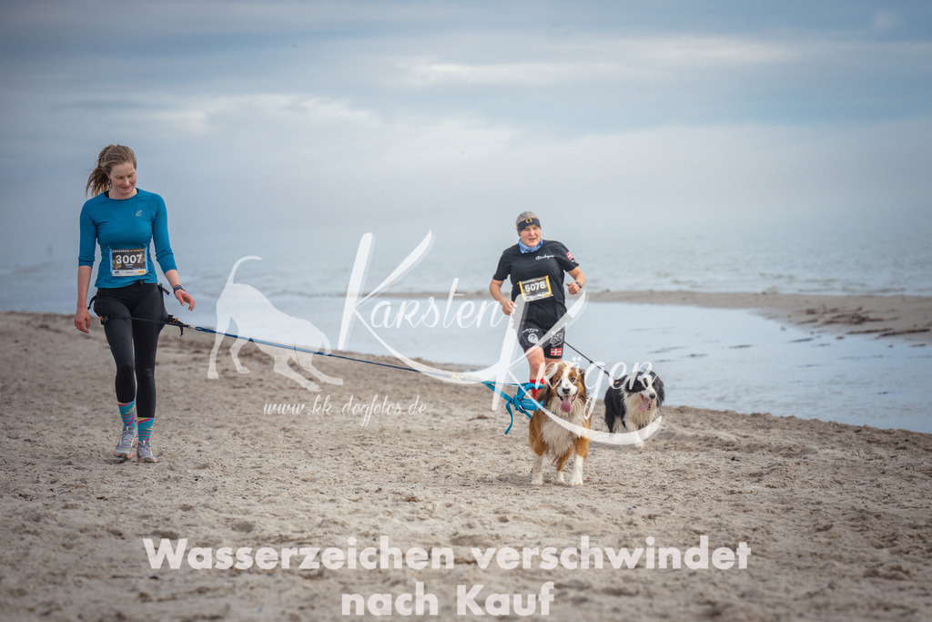 1145_ZZ90651 | kk-dogfotos