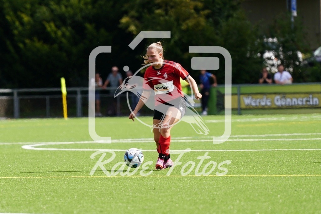 SON08701 | rabefotos