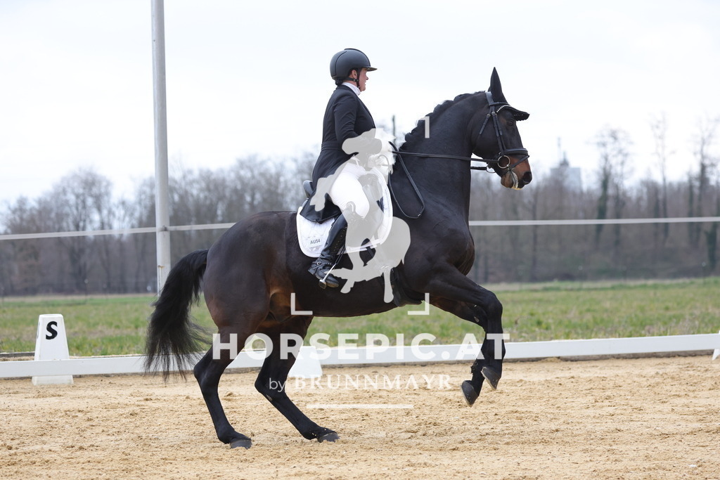 0P6A5757 | Willkommen bei Brunnmayr - Design & Fotografie – Ihrem Spezialisten für Reitturniere und Pferdeveranstaltungen in Oberösterreich, Salzburg und Bayern! Seit über 17 Jahren sind wir leidenschaftlich dabei.