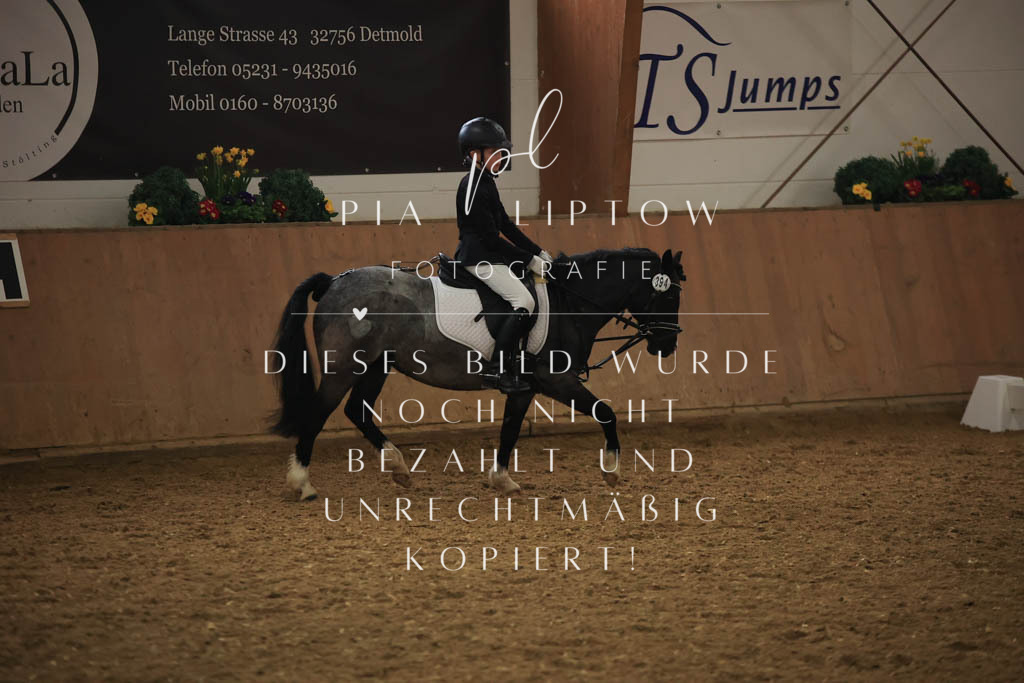 IMGT0946 | pl-fotografie