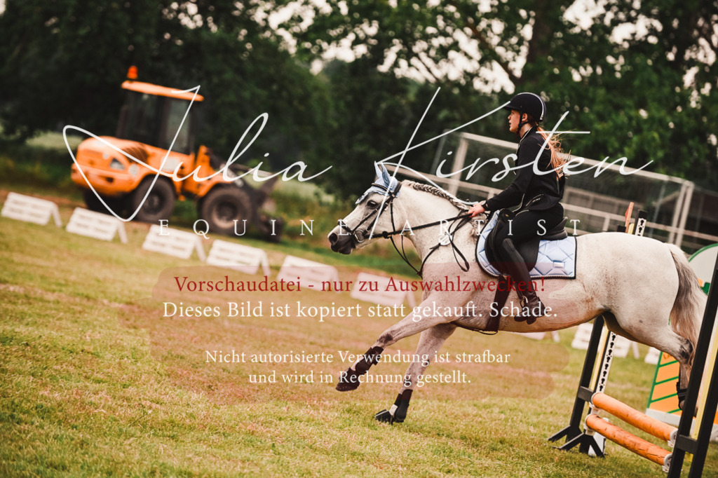DSC_6967 | Pferde- und Turnierfotografie in Westsachsen. Pferdeportraits, Auftragszeichnungen und intuitive Kunst.