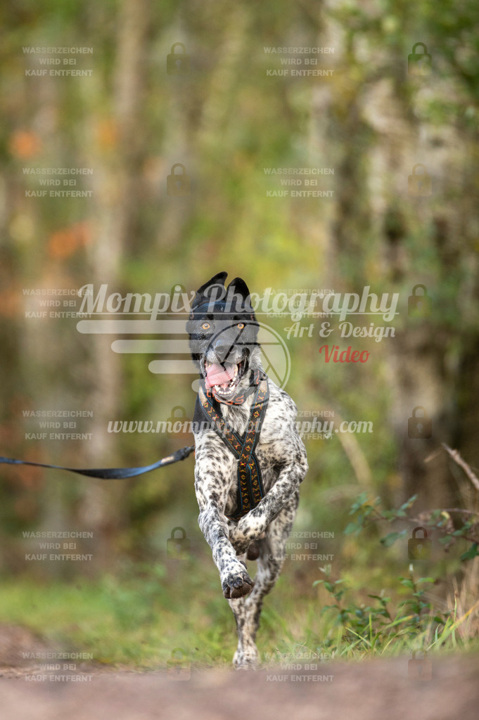 TSB_2023_E4_DS1-3 | PayLife