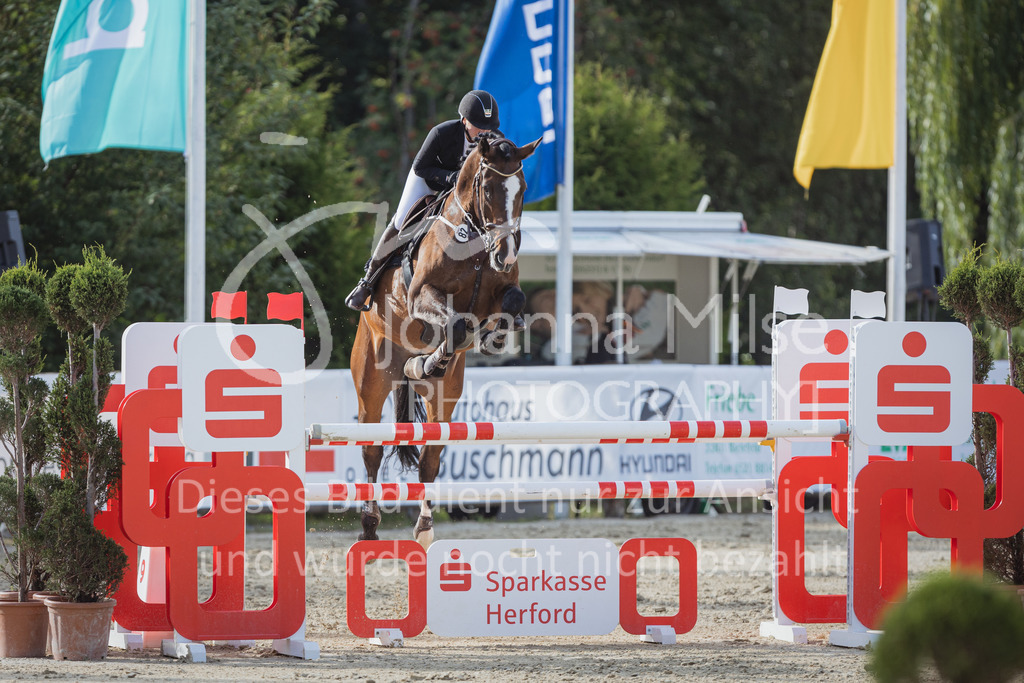 220728_BHO_ST_M1-Spr_1-646 | Deine schönsten Turniermomente als professionelle Fotos! Entdecke hochwertige Pferdesport-Fotografie im Online-Shop. Jetzt Fotos finden & bestellen!
