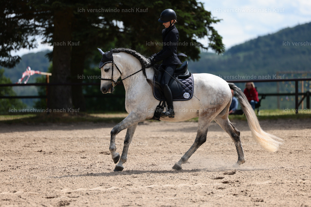 KlasseA_Stoibphotography_C2_L5731.JPG | working equitationturnier fotograf videograf stoibphotography marixx film working equitation deutschland reitsport turnierfotografie eventfotografie equestrian events