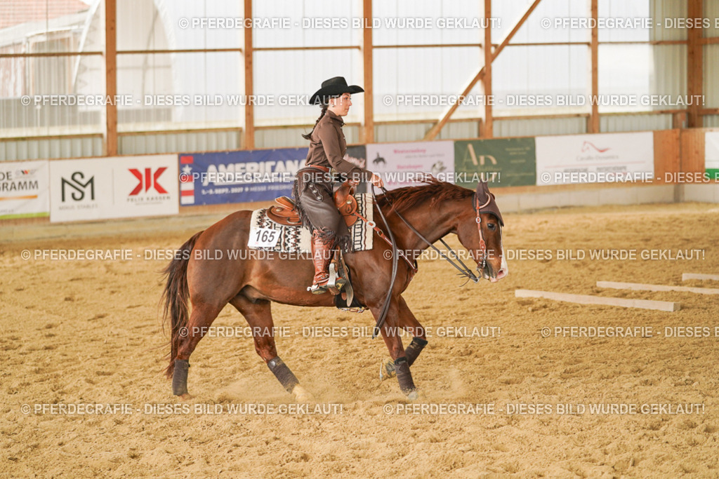 DSC04793 | Pferdegrafie