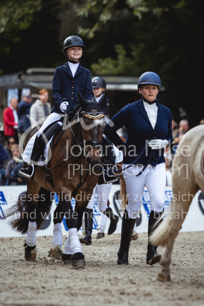 240915_OWLCh_FuehrzuegelWB-615 | Deine schönsten Turniermomente als professionelle Fotos! Entdecke hochwertige Pferdesport-Fotografie im Online-Shop. Jetzt Fotos finden & bestellen!