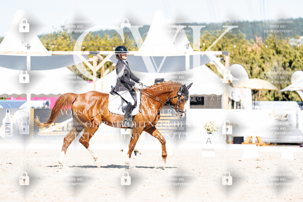 CK908790 | Turnierfotografie Pferdefotografie Trier Rheinland-Pfalz Pferdesport Reitsport Tierfotografie Sportfotografie Pferdevideo Pferdevideografie Equestrianvideography equestrianphotography  - Realisiert mit Pictrs.com