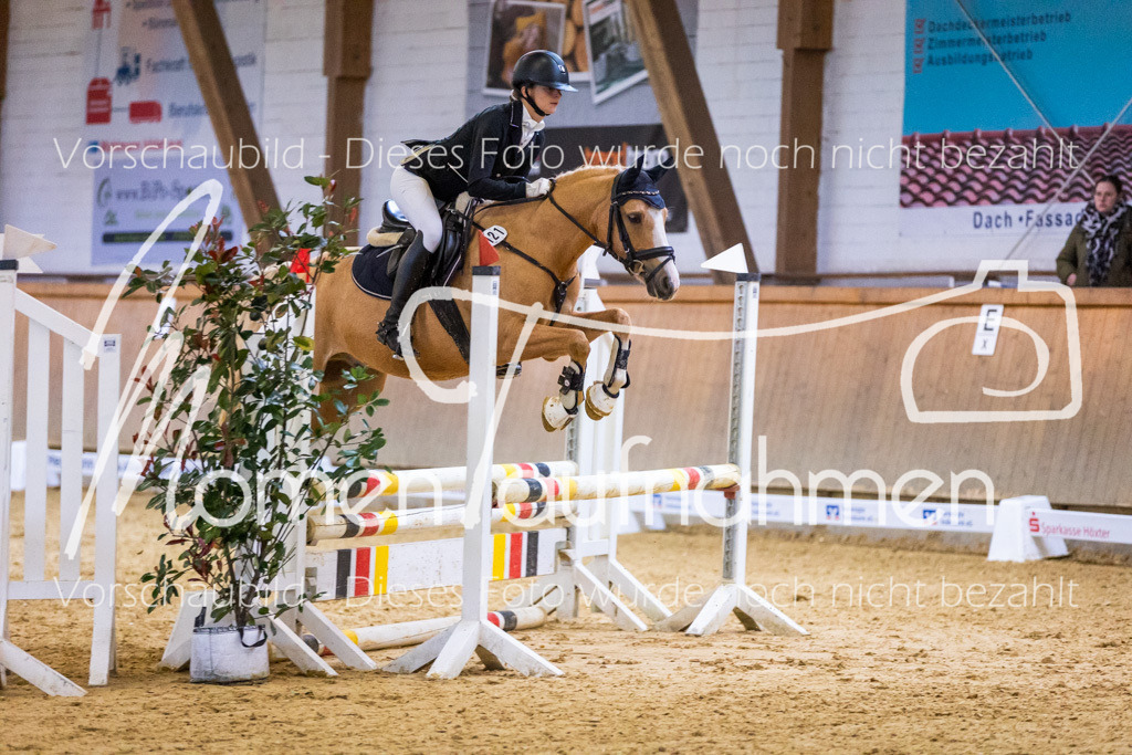 Sth-KombDreSpr-041 | MomenTaufnahmen Pferdesportfotos