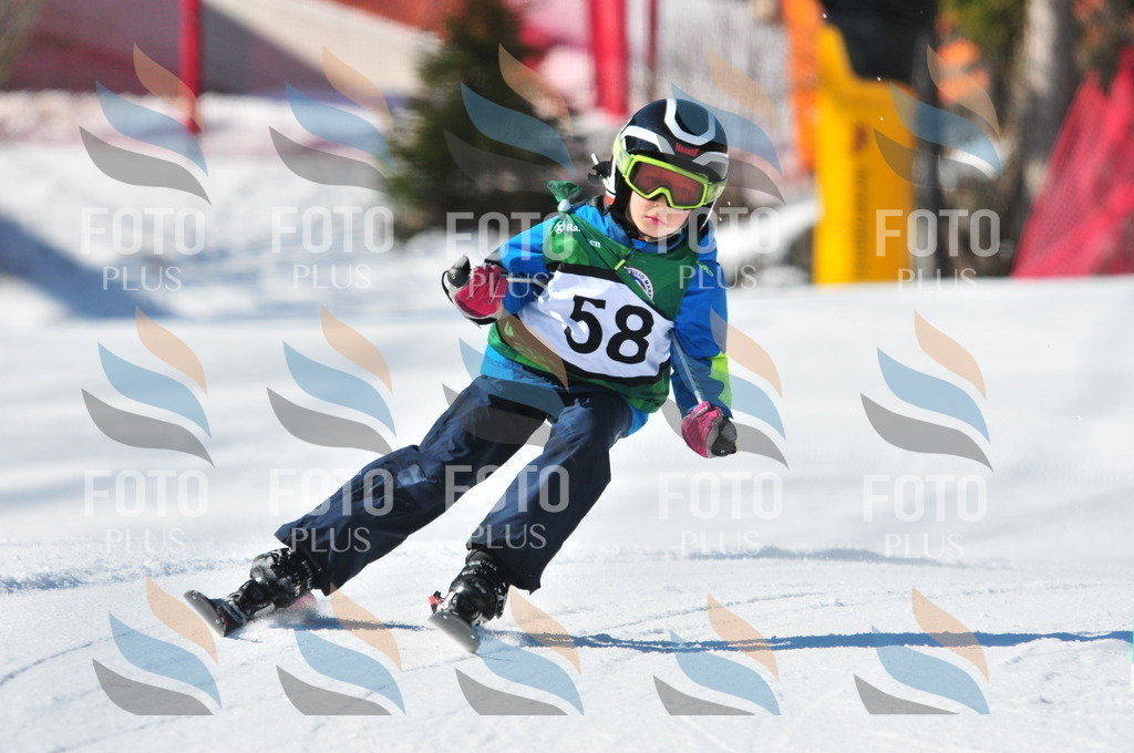 C2916 | holidayphoto