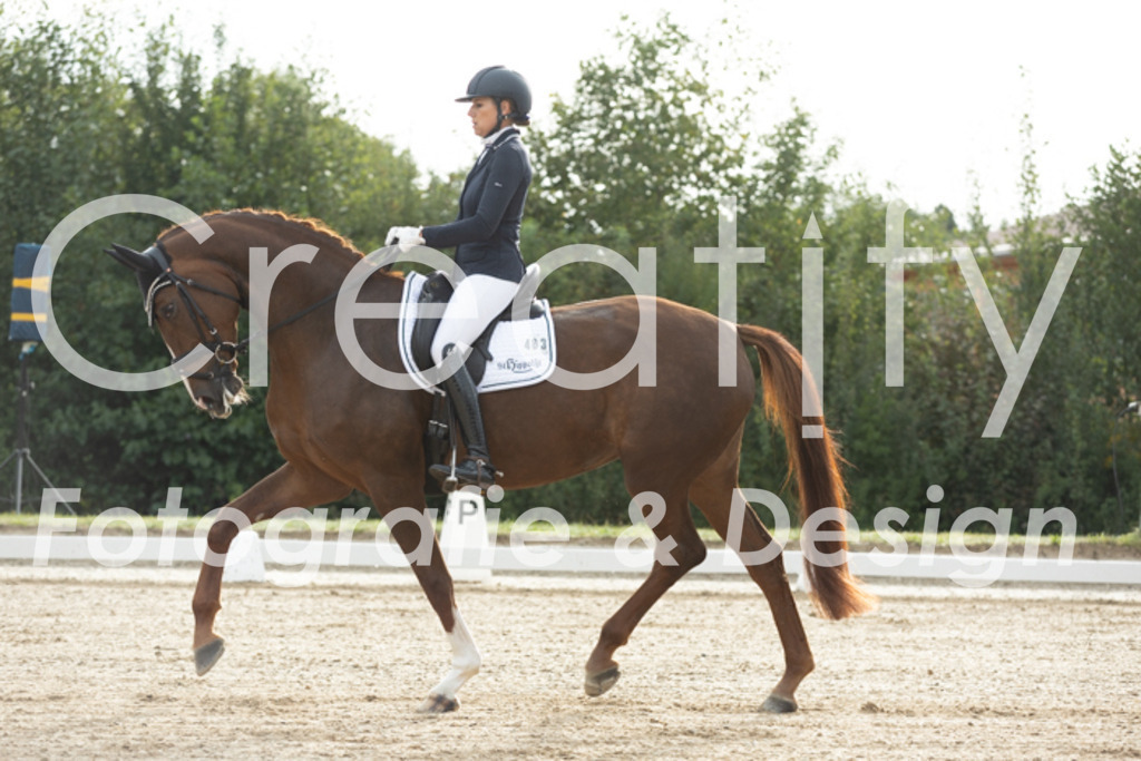 IMG_4182 | Creatify Fotografie