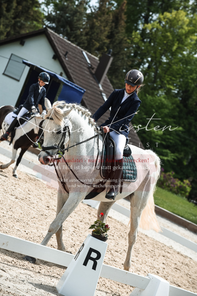 20230518_JK-Röhrsdorf-11-0337 | Pferde- und Turnierfotografie in Westsachsen. Pferdeportraits, Auftragszeichnungen und intuitive Kunst.