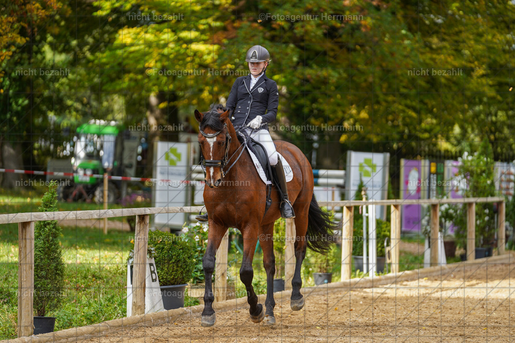 20221007-FAH09937 | Diessen am Ammersee, 2022, Dressur- und Springturnier, Reitsportbilder, Turnierfotografen Bayern, Pferdefotografen, Fotoagentur Herrmann, Turnierbilder