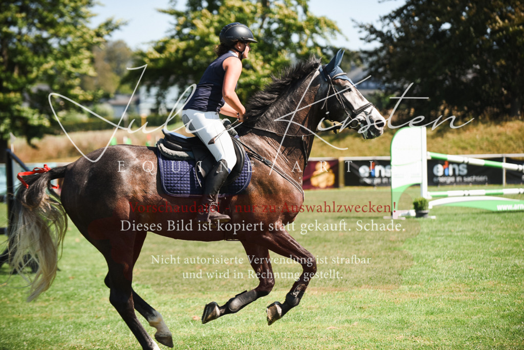 DSC_2887 | Pferde- und Turnierfotografie in Westsachsen. Pferdeportraits, Auftragszeichnungen und intuitive Kunst.