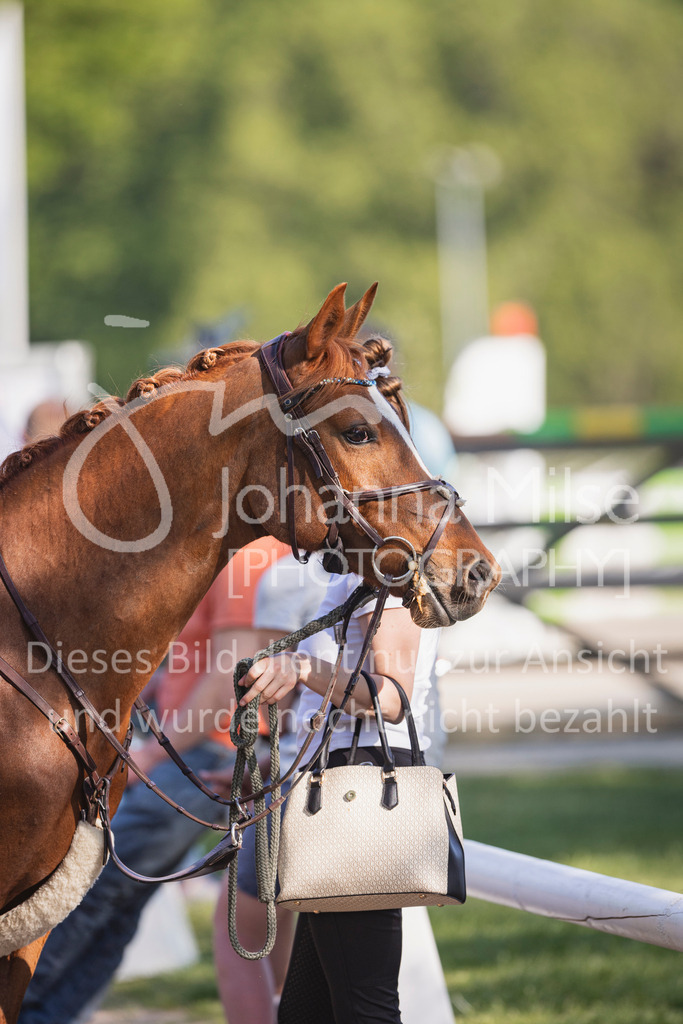 250501_MünsterHandorf_PonyTrophy-217 | Deine schönsten Turniermomente als professionelle Fotos! Entdecke hochwertige Pferdesport-Fotografie im Online-Shop. Jetzt Fotos finden & bestellen!